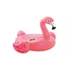 Image de Flamant Rose gonflable - Intex