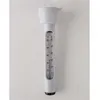 Image de Thermometre de piscine - intex