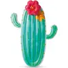 Image de Intex Cactus
