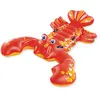 Image de Intex Homard