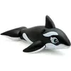 Image de Intex Baleine