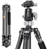 Image de Trepied carbone + rotule BH-30