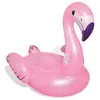 Image de Accessoire gonflable plage piscine Bestway Luzury flamingo pink Rose taille : UNI réf : 70792