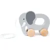 Image de Hape Eléphant