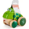 Image de Hape Grenouille