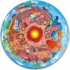 Image de Hape Puzzle Sous la terre (36 pièces)