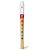 Image de Hape Musician's Starter Recorder