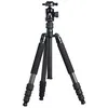 Image de Trépied MT-2204 Carbone avec rotule MT-20