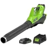 Image de Greenworks Souffleur de feuilles avec batterie 40V G40AB 2400807UA