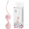 Image de Lovetoy, Ballon de gymnastique