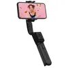Image de HOHEM Bâton Stabilisateur iSteady Q Noir