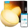 Image de Govee H6022 | Lampe LED | RGBICWW, 2700k-6500k, Wi-Fi H60223D1