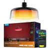 Image de Govee H60C13F1 Lampe suspendue RGBICWW H60C13F1