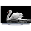 Image de Smart TV haier H65C900UX 65 pouces 4K OLED