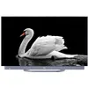 Image de Smart TV haier H55C900UX 55 pouces 4K OLED