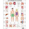 Image de Larsen puzzle Puzzle Corps Maxihumain 35 pièces