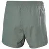 Image de Helly Hansen, Hommes, Short de bain, Cascais Trunk Badeshorts, Argent, Gris, (XXL)