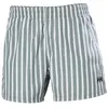 Image de Helly Hansen, Hommes, Short de bain, Herren-Badeshorts Newport Trunk, Gris, Argent, (XL)