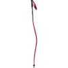 Image de Swix Bâtons World Cup Pro Dh Carbon
