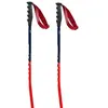 Image de Swix Bâtons World Cup Pro Super-g