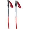 Image de Swix Bâtons World Cup Pro Super-g