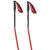 Image de Swix Bâtons World Cup Pro Donwhill