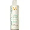 Image de Après-Shampooing Disciplinant - Moroccanoil