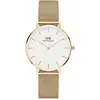 Image de Daniel Wellington, Montre, Petite Evergold, Or, (Horloge analogique, 28 mm)