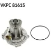 Image de Pompe À Eau Skf Vkpc 81615