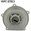 Image de Pompe À Eau Skf Vkpc 87813