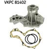 Image de Pompe À Eau Skf Vkpc 81402
