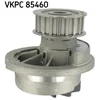 Image de Pompe À Eau Skf Vkpc 85460