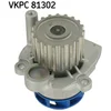 Image de Pompe À Eau Skf Vkpc 81302