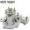 Image de Pompe À Eau Skf Vkpc 91829