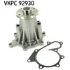 Image de Pompe À Eau Skf Vkpc 92930