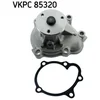 Image de Pompe À Eau Skf Vkpc 85320