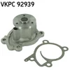 Image de Pompe À Eau Skf Vkpc 92939