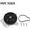 Image de Pompe À Eau Skf Vkpc 91825