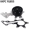 Image de Pompe Eau Skf Vkpc 91855