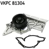 Image de Pompe Eau Skf Vkpc 81304