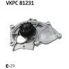 Image de Pompe Eau Skf Vkpc 81231
