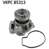 Image de Pompe Eau Skf Vkpc 85313