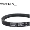 Image de Skf Vkmv 13.7x975