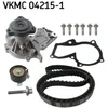 Image de Kit Distribution & Pompe À Eau Skf Vkmc 04215-1