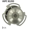 Image de Pompe À Eau Skf Vkpc 81200