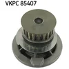 Image de Pompe À Eau Skf Vkpc 85407