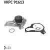 Image de Pompe À Eau Skf Vkpc 91613