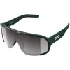 Image de Poc, Hommes, Lunettes de sport, Okulary rowerowe Aspire zielony (Pargasite Green, Partly Sunny Silver), Vert