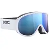 Image de Poc, Masque de ski