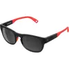 Image de Poc Lunettes De Soleil Evolve Equalizer Grey/CAT3